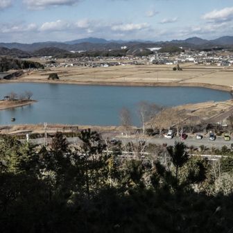 ほぼ林の中を下る