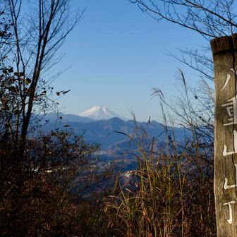 ナイスなところに標識がありました