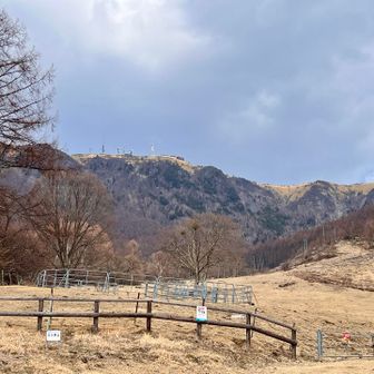 麓に下りてきました。王ヶ頭ホテルと電波塔を振り返り駐車場に戻ってゴール。

大量の花粉なのか春霞で山々の展望はイマイチでしたが久しぶりにビーフシチューを味わえて満足です。