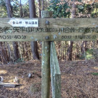 そこそこ登って大丸。