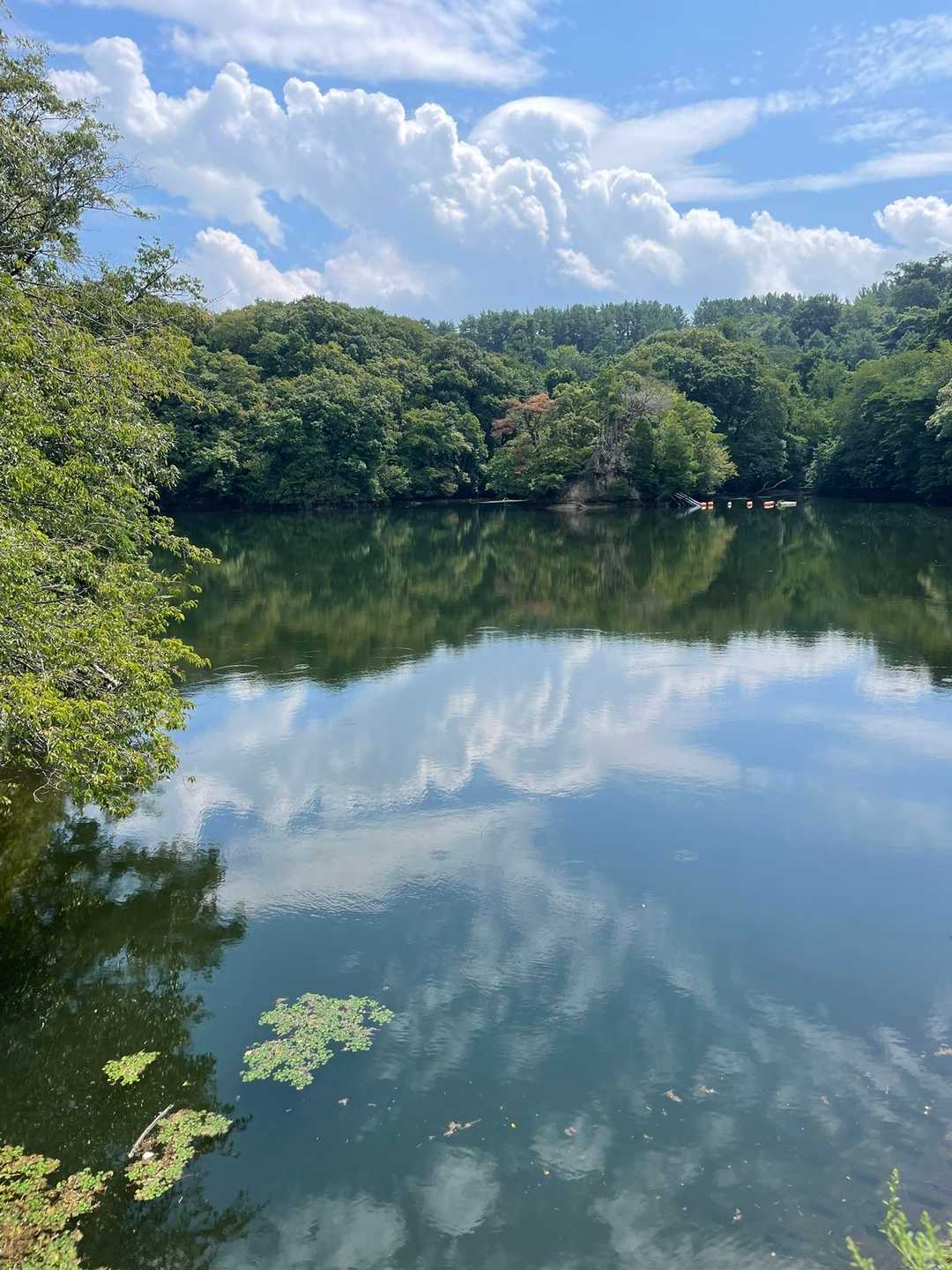 国見山登山口 往復コースの写真
