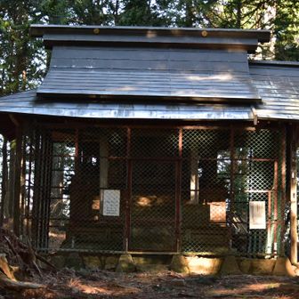 青渭神社
社殿の彫り物は見事