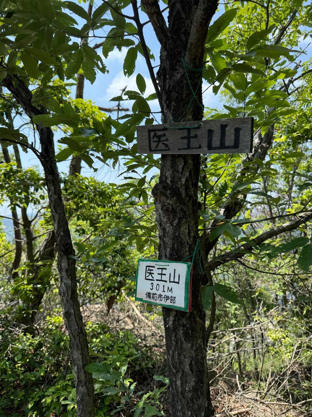 医王山到着⛰️