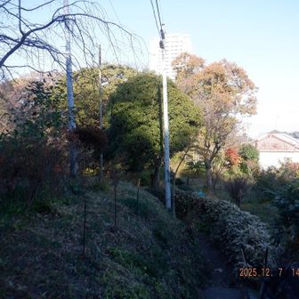 大勝利山のピークと思い未舗装の道に入った。地図を見ると大勝利山は、もっと下だった。
未舗装路の先から、ピークを振り返り撮る