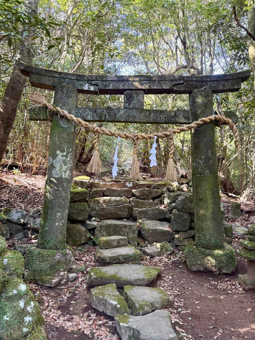 安満岳登山道口-安満岳-三の鳥居 往復コースの写真