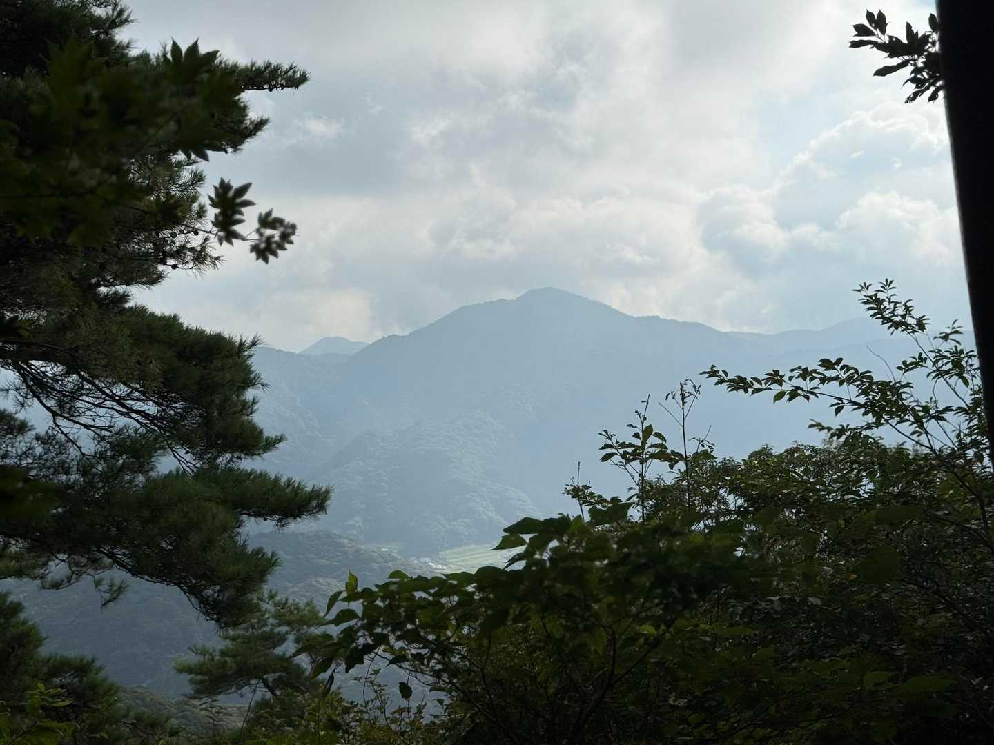 此処からの眺めが良い