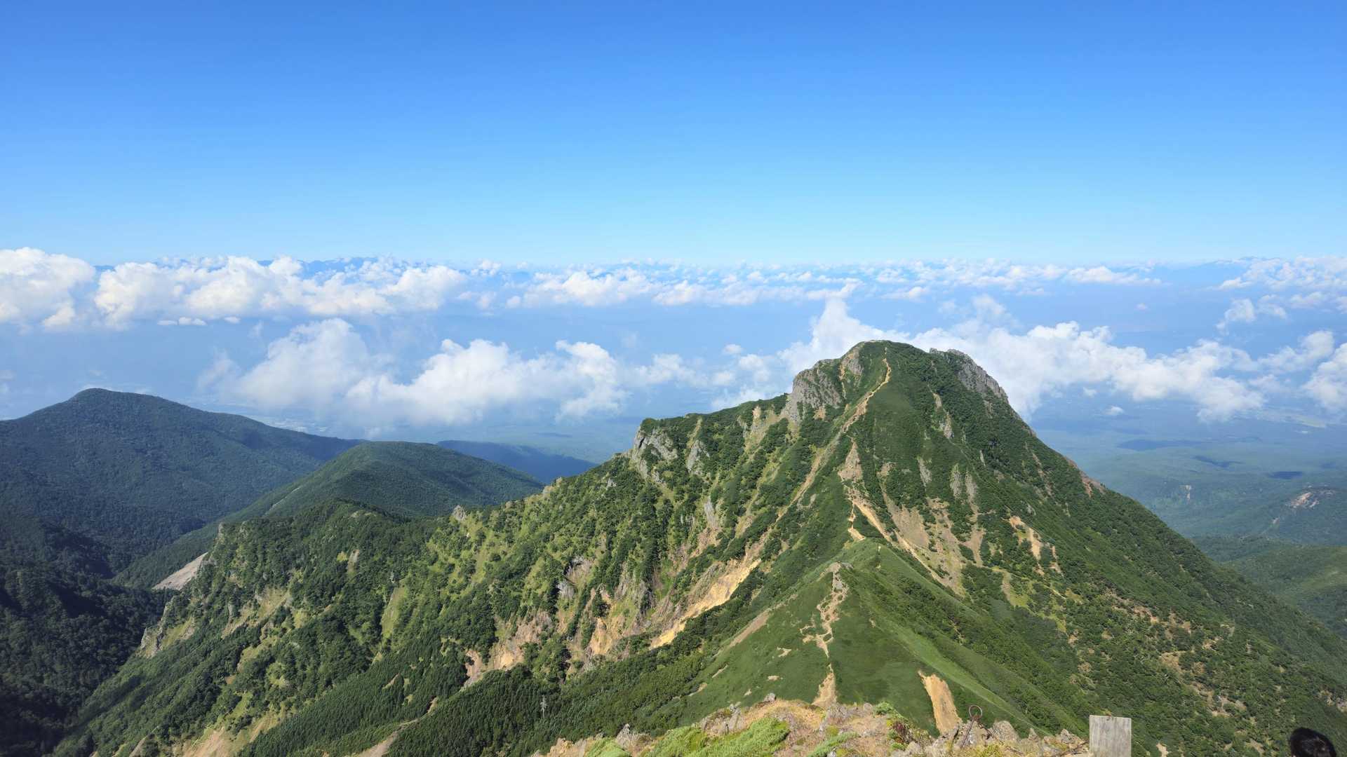 来た道を振り返る