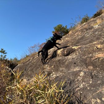 急斜面もなんのその😳