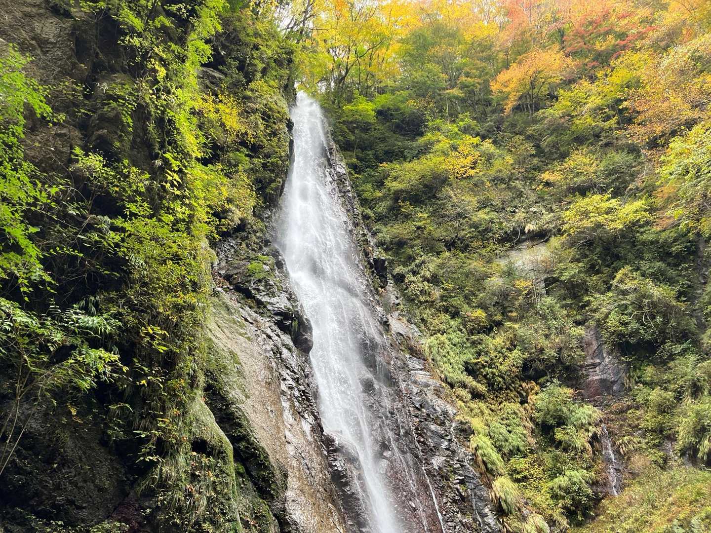 プチ渡渉をしながら辿り着いた本棚の滝🤩✨