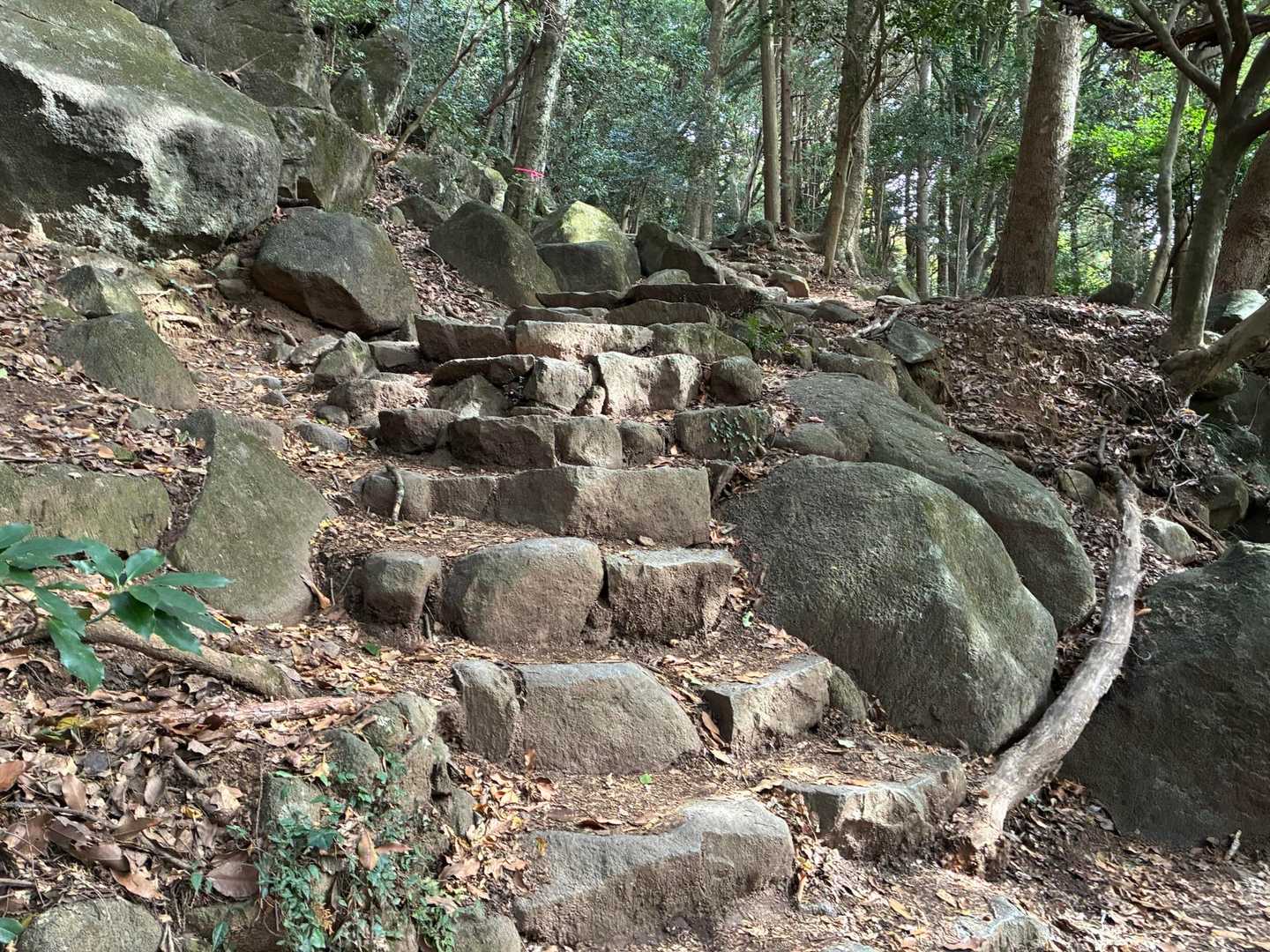 少しずつ傾斜が上がります⤴️