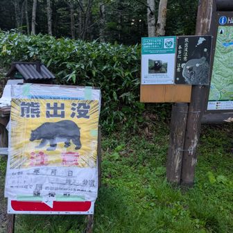 熊怖い