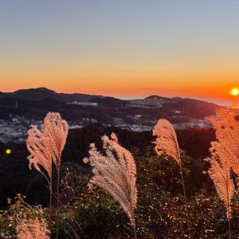 神武寺山のビュースポットからは東京湾に沈み始める夕陽が