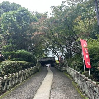 参拝へ