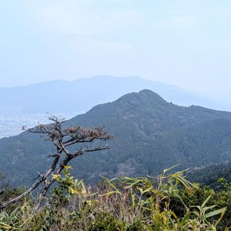 高地山展望台へ
目の前 飯盛山
薄っすらと 油山を望む  ﾊﾟｼｬﾘ📸