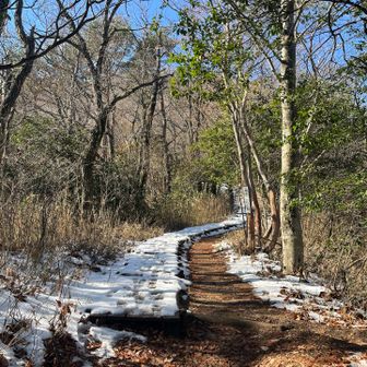 標高上げてくると
雪も❄️