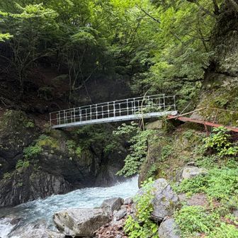 5号橋
