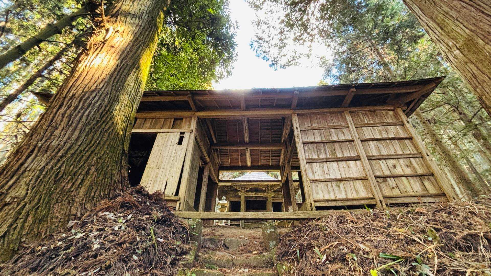 萬蔵山 往復コースの写真