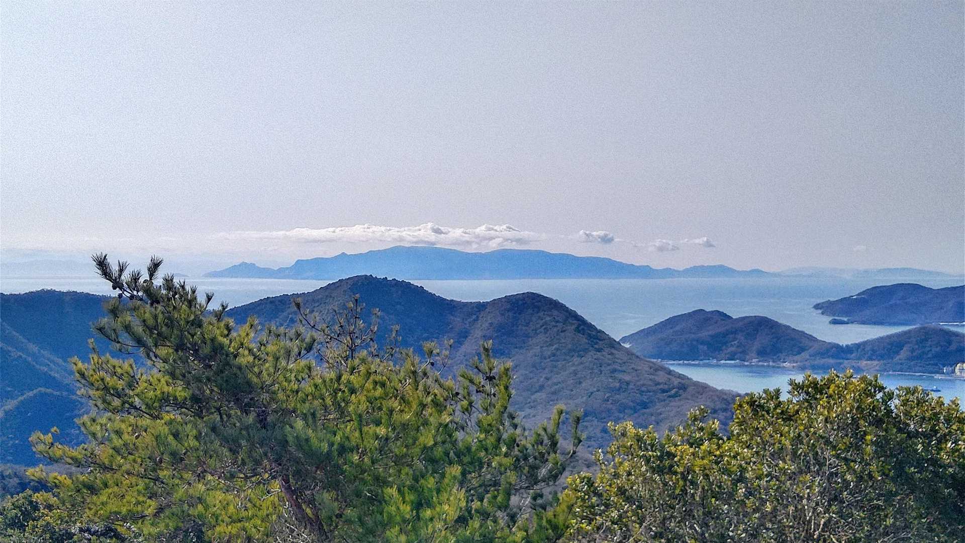 岩屋谷公園登山口-天下台山 往復コースの写真