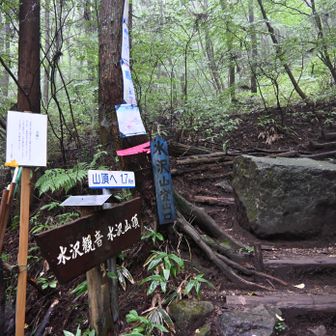 無事戻りました。今日も良かった水沢山！おつかれ山でした。