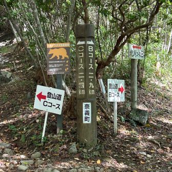 登りはBコースから😊