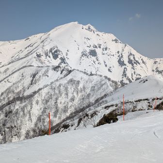 だいぶ雪が減ってますね