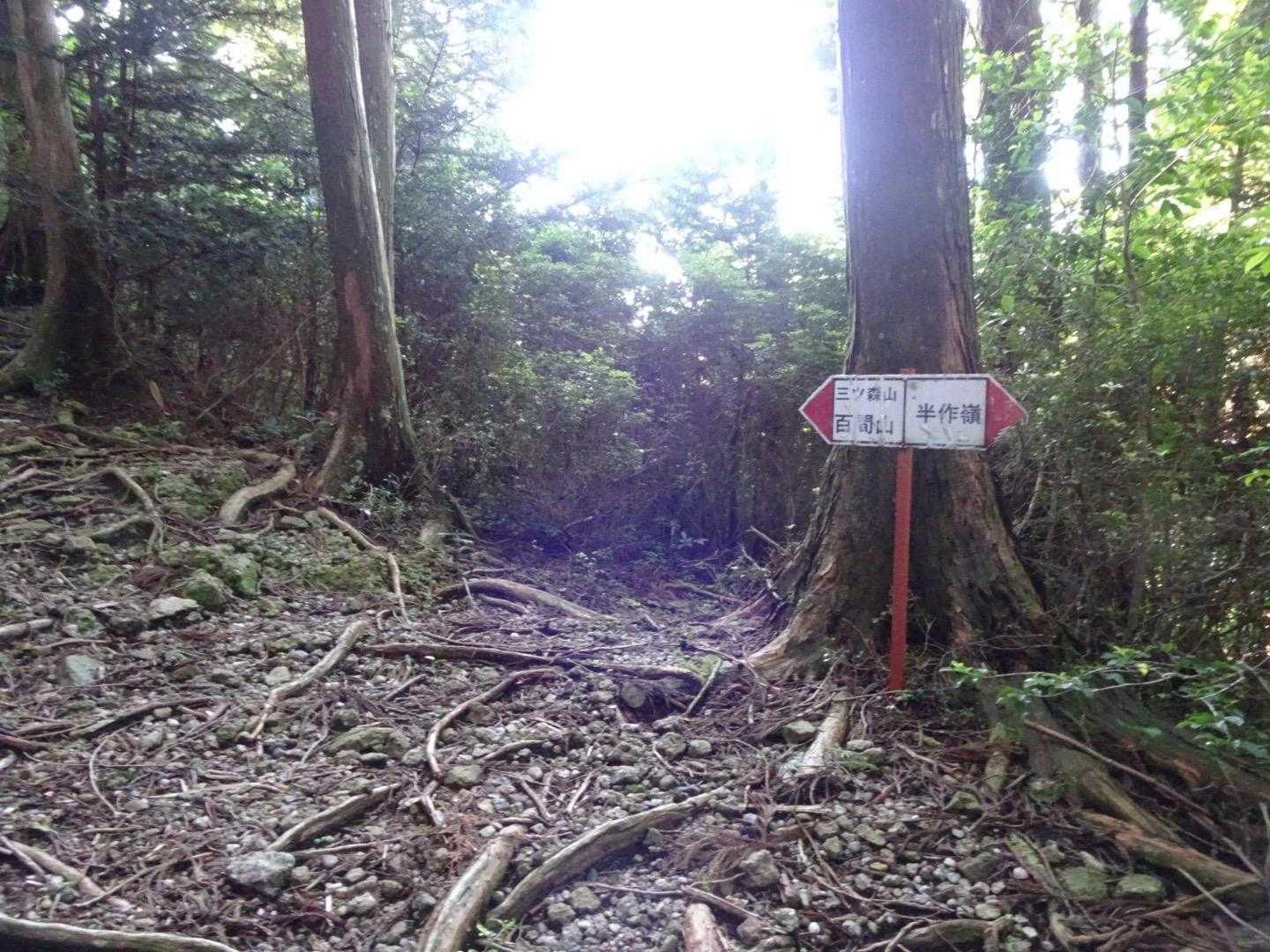 分岐点半作嶺へ