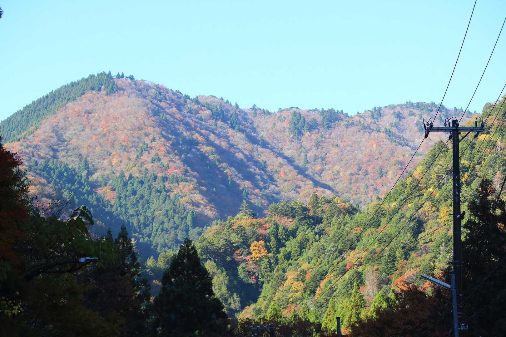 色づく尾根
