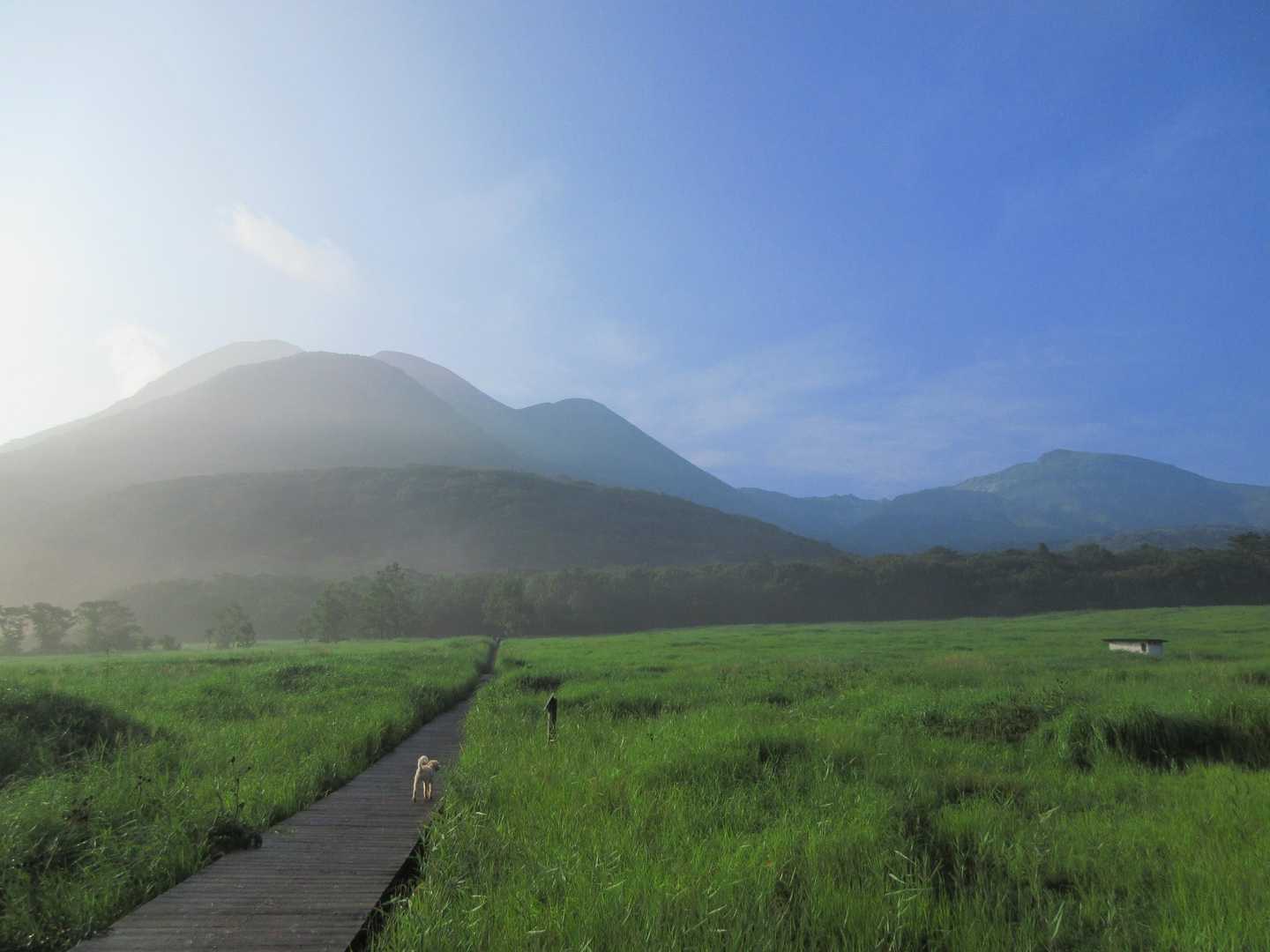 タデ原湿原　空気が新鮮！