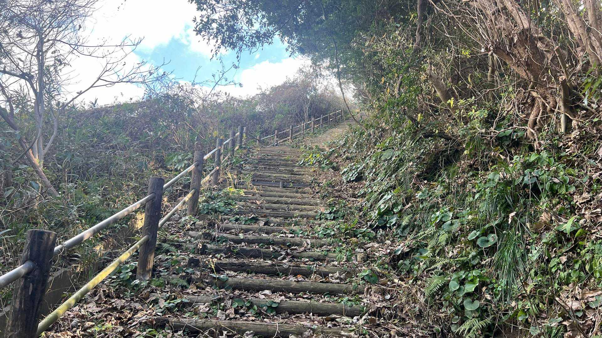 階段登る