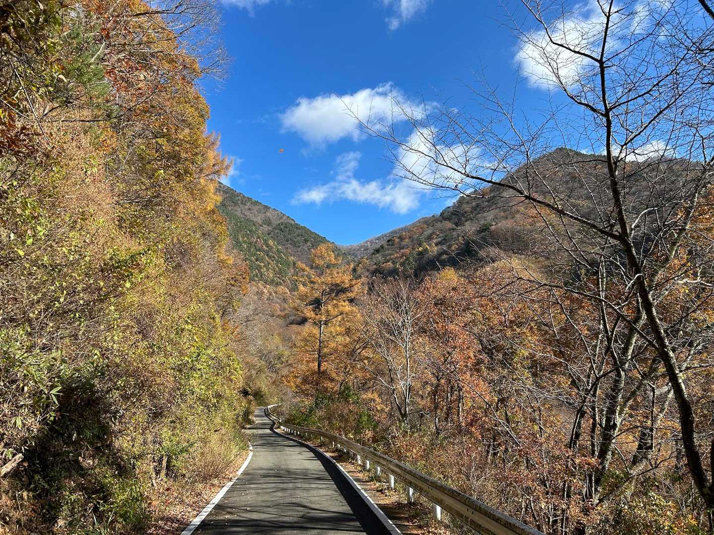 途中から緩い登りが続きます🚶‍♀️
暑い時期はきつそうですが、この時期は景色も気温もいい時期だと思いました🍁