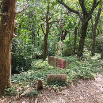 一気に下山してここから登りと違うルートで。
