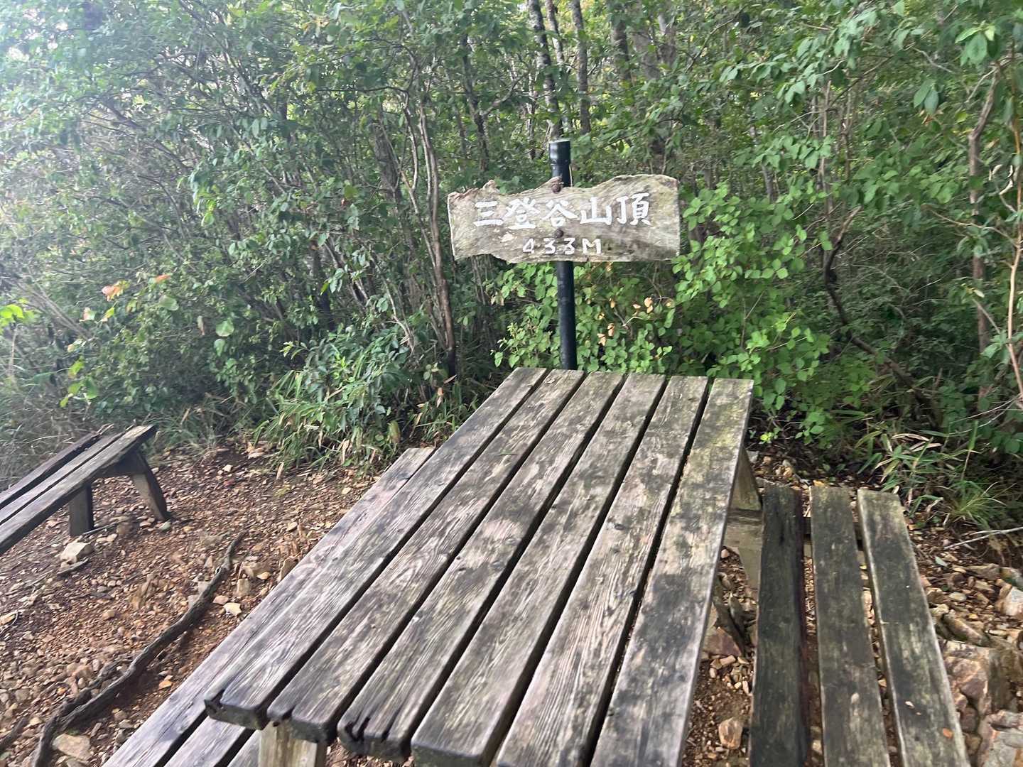 三登谷山付近で電話がなり
迎えお願いだって