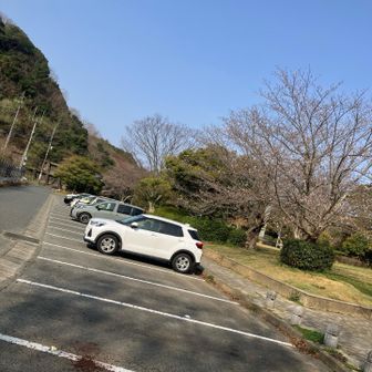 こちらからは初です