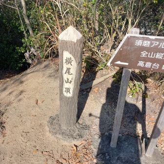 ここで🕛🍙タイムです