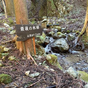 沢とは離れ、一段と傾斜がキツくなります😥