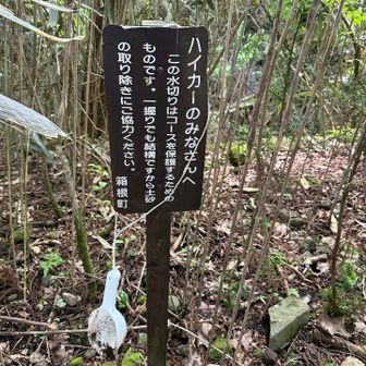 こんなんあった
