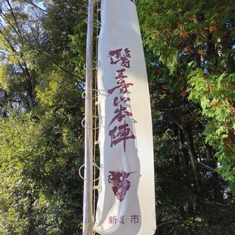 🏳️軍旗、はためく。