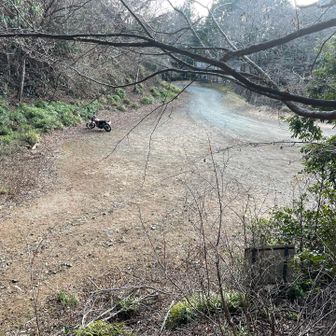 無事に新茅山荘に戻ってきました