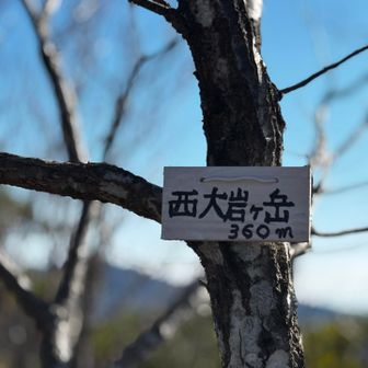 西大岩ヶ岳