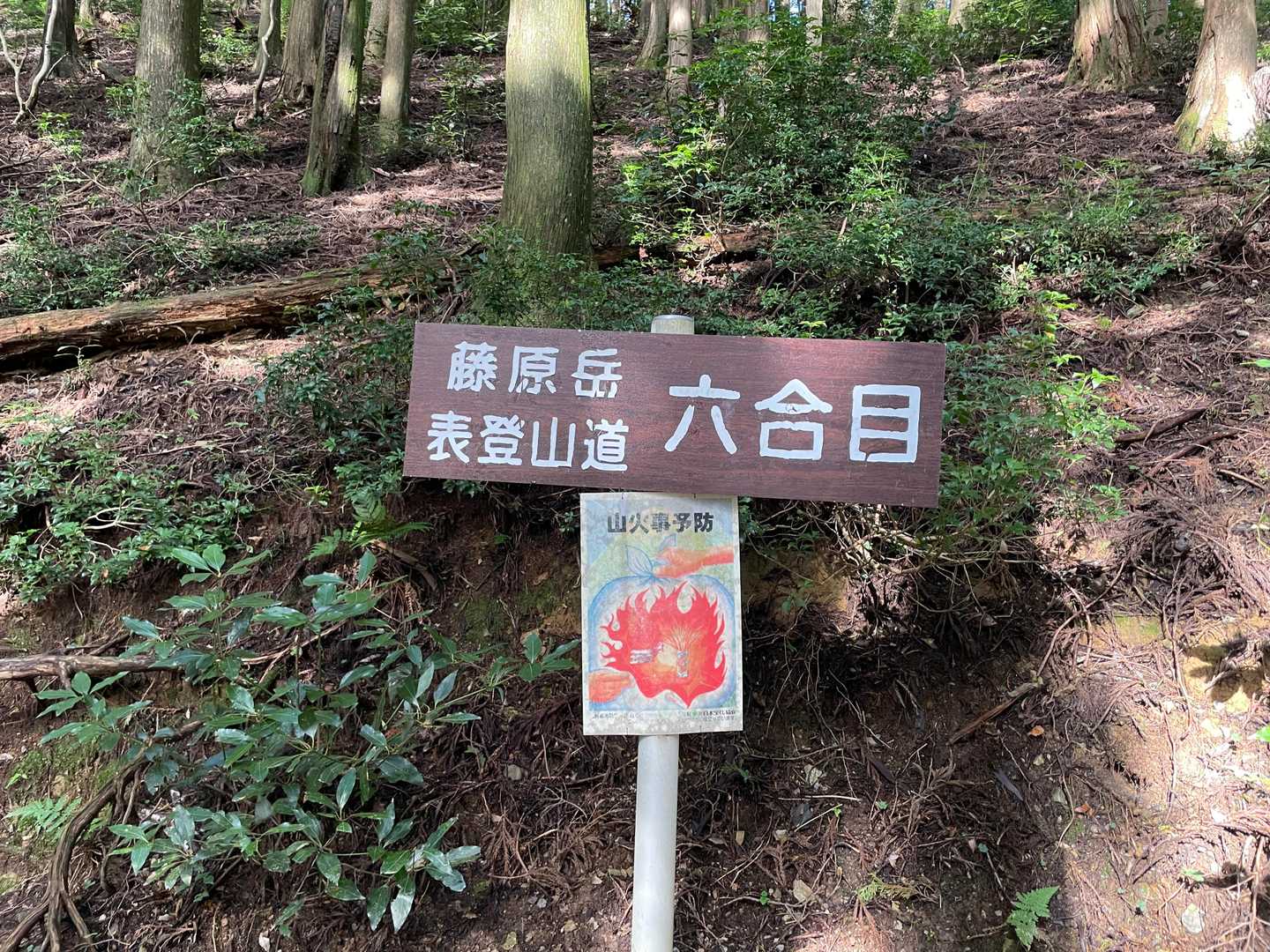 石榑峠-竜ヶ岳-銚子岳-治田峠-多志田山-藤原岳-藤原岳登 縦走コースの写真