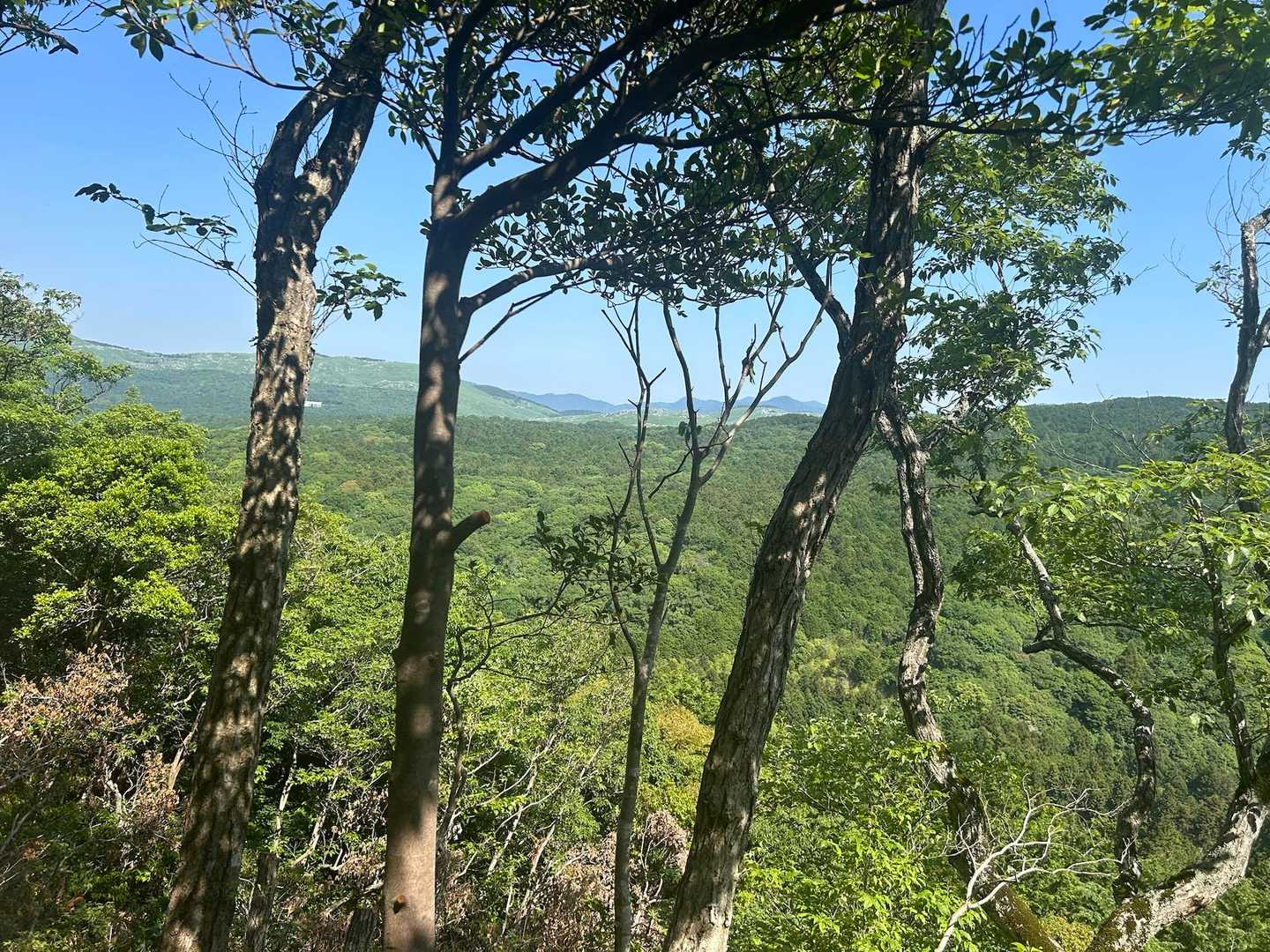 山頂からの景観