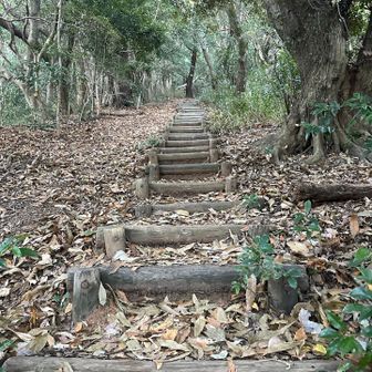 いきなり階段地獄かよ💦