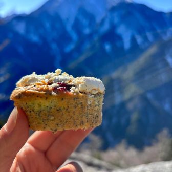 作ってきたお菓子