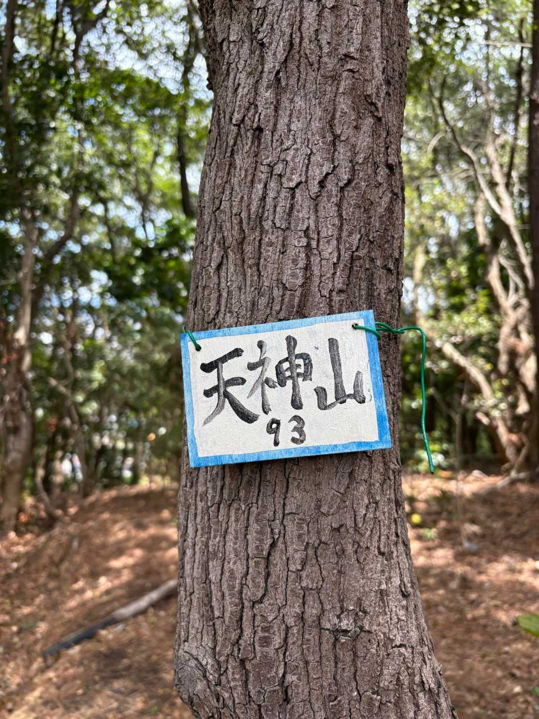 天神山