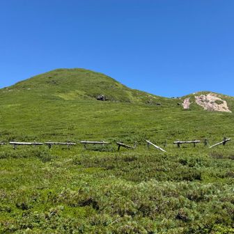 アルプスの雰囲気です