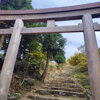 木の鳥居まで来たら一度振り返って欲しい😚
めっちゃ素敵な景色✨
