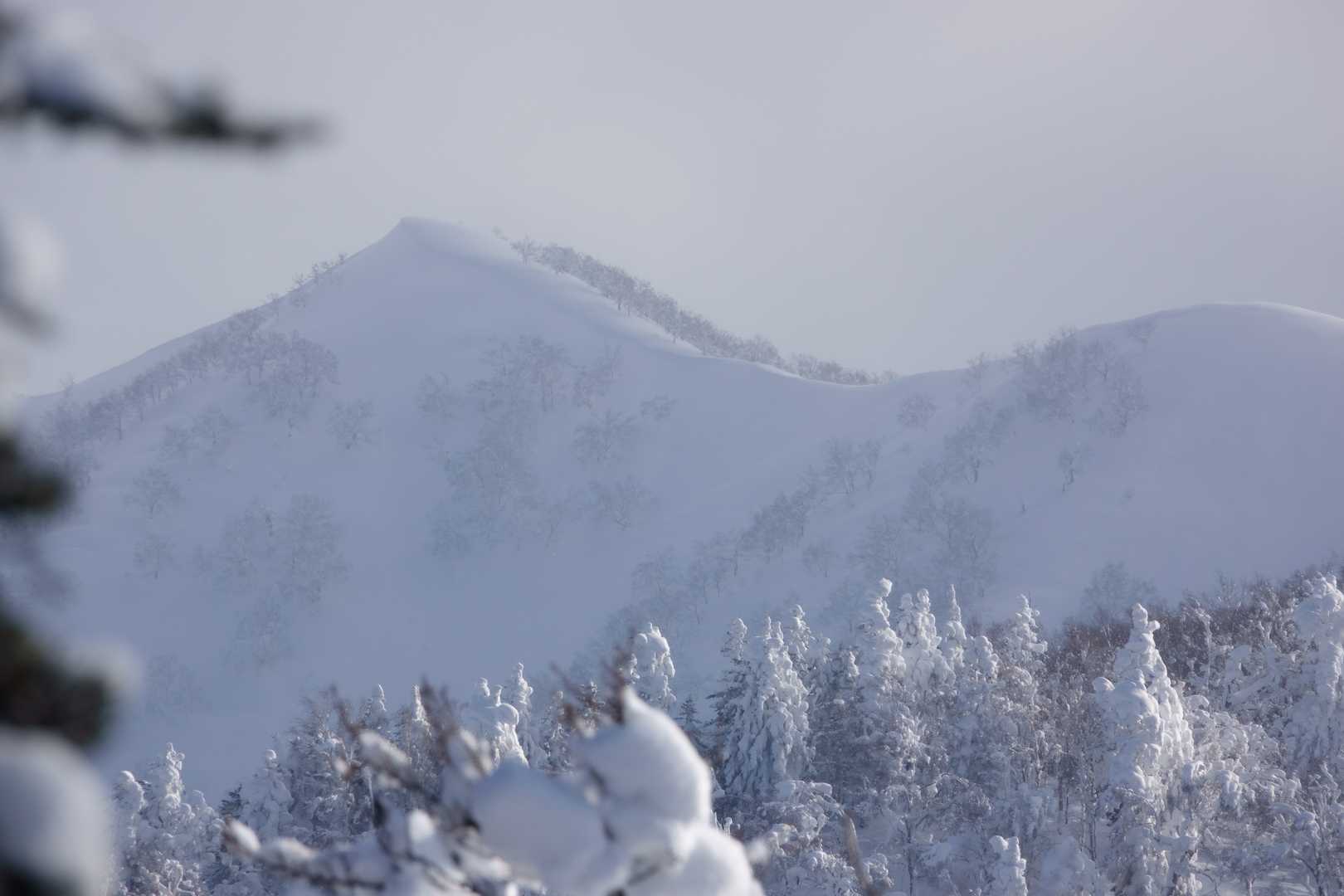 中尾山。去年の秋に藪こぎした稜線です。