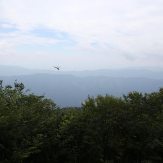 富士山は見えません！トンボが飛んでいます。