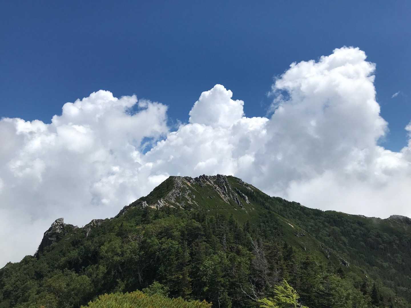 夏雲が良い感じです(((o(*ﾟ▽ﾟ*)o)))