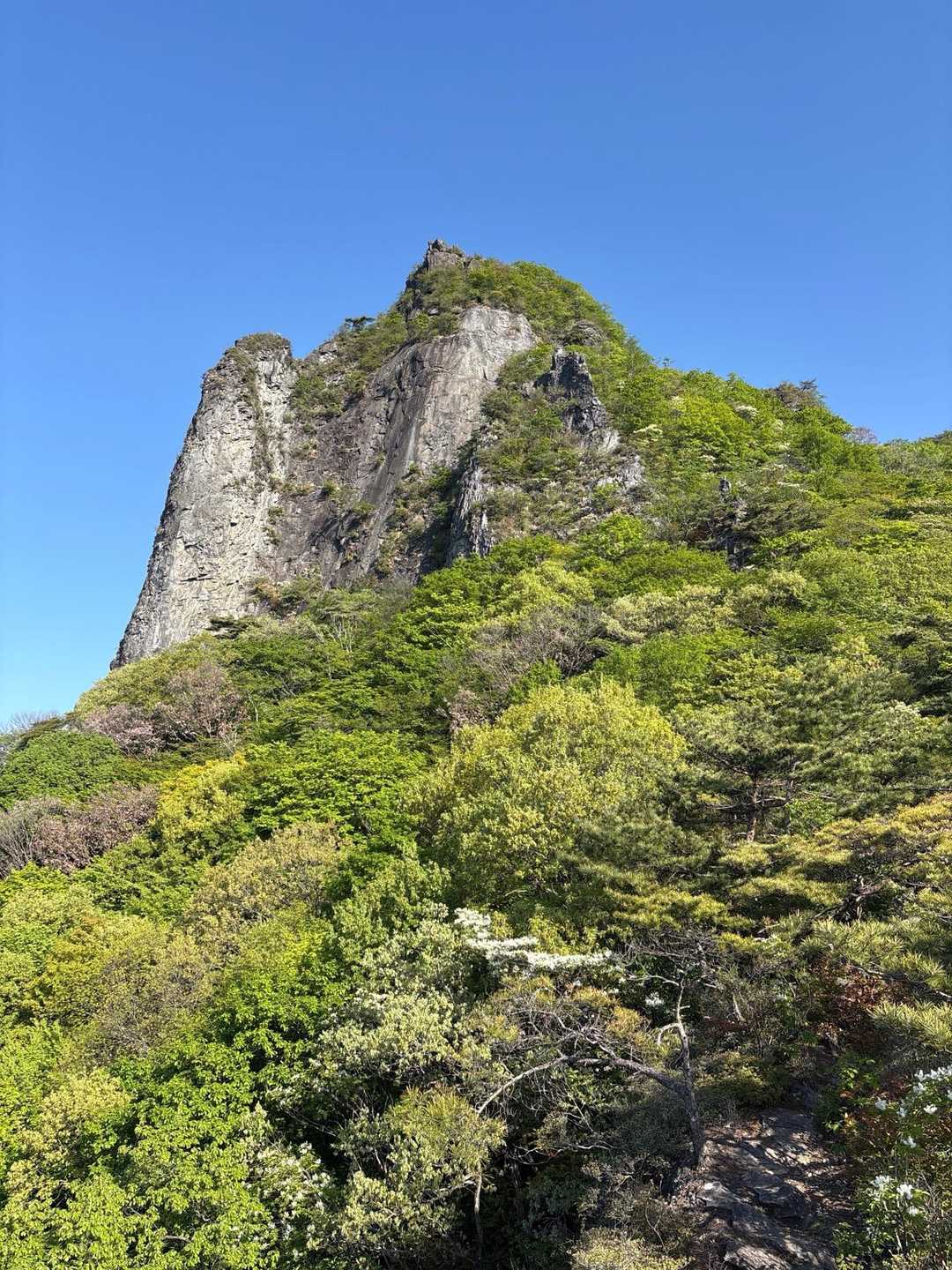 7号橋登山口-子持山 往復コースの写真